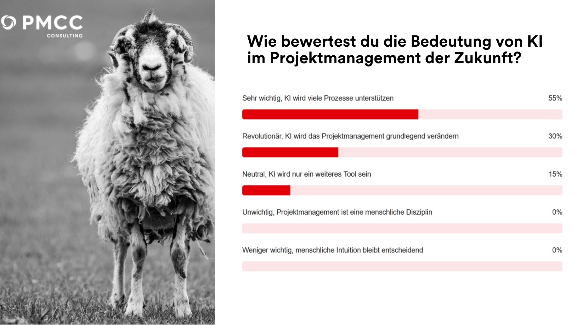 pmcc-projektmanagement-trends-2024-umfrage-55