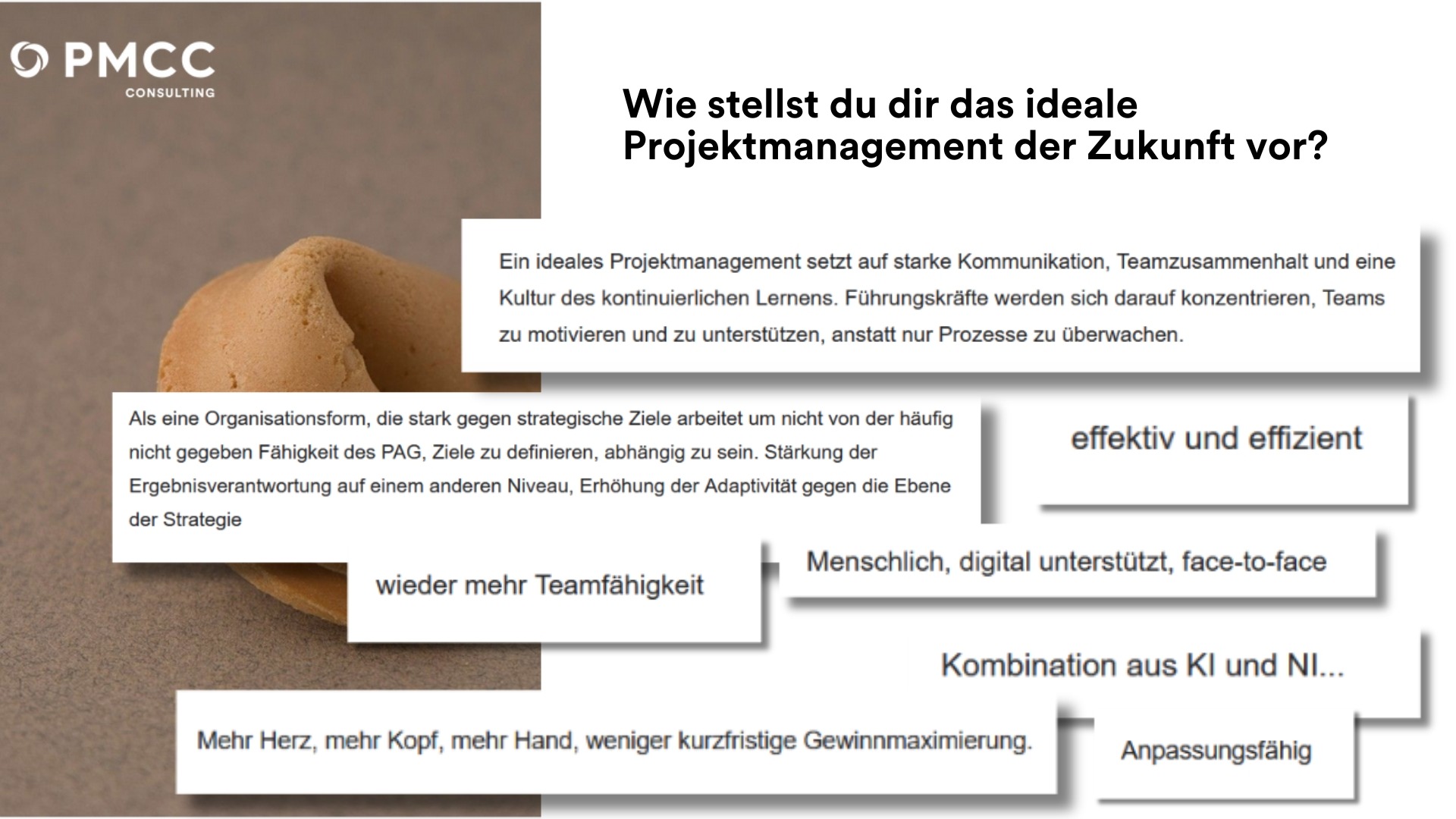 pmcc-projektmanagement-trends-2024-umfrage-58